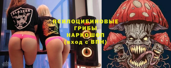 винт Алексин
