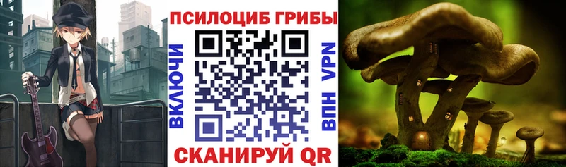 Галлюциногенные грибы Magic Shrooms  Удомля 