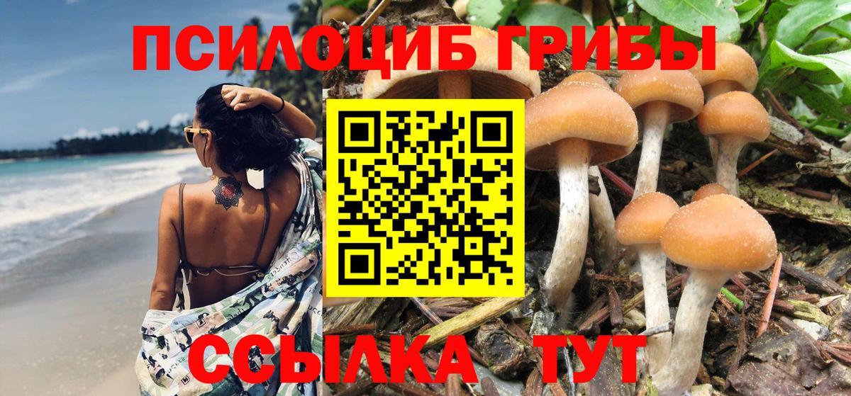 Псилоцибиновые грибы GOLDEN TEACHER Удомля