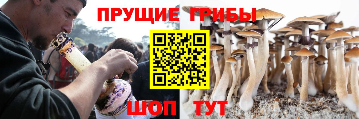 Галлюциногенные грибы Psilocybine cubensis  Вход с VPN  Удомля 